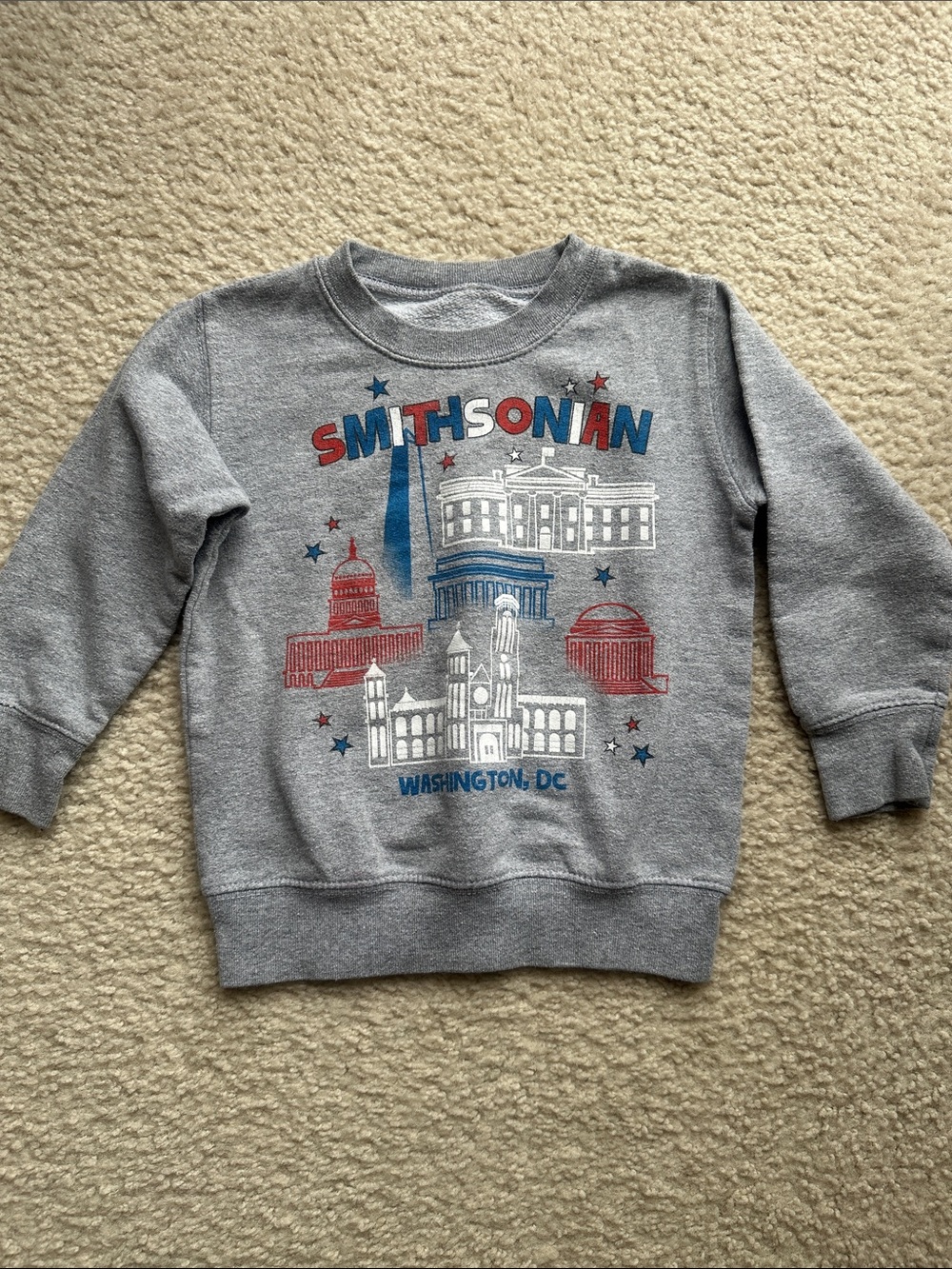 Kids' Gray Graphic Sweatshirt - Washington DC